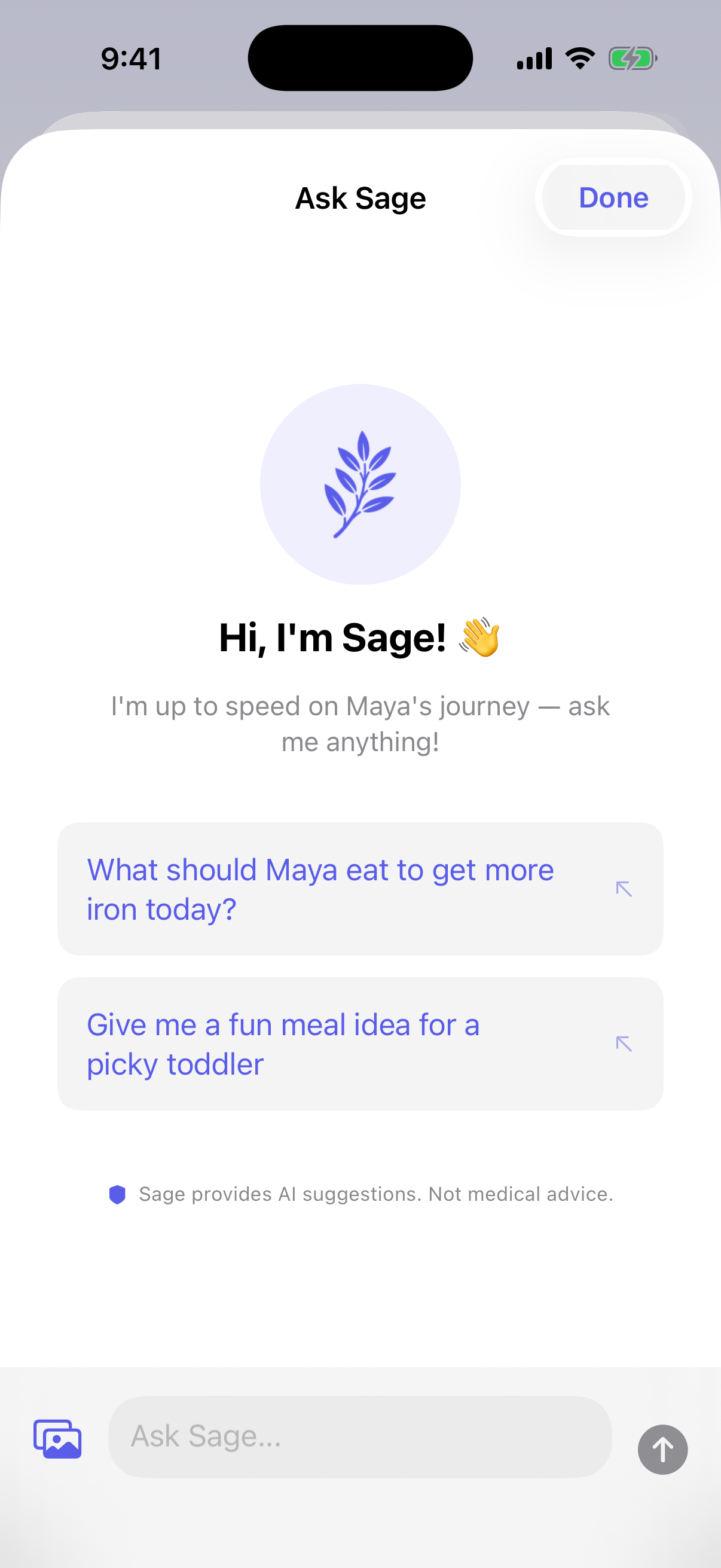 Mealtime Helper & Food Chaining